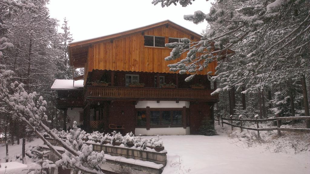 B&B Villa Dolomites Hut San Vigilio Di Marebbe Exterior foto